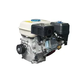 Motor benzina 4 timpi 8.5CP Motor benzina 4 timpi 8.5CP