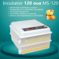 incubator-ms-120-1586-6740.jpg